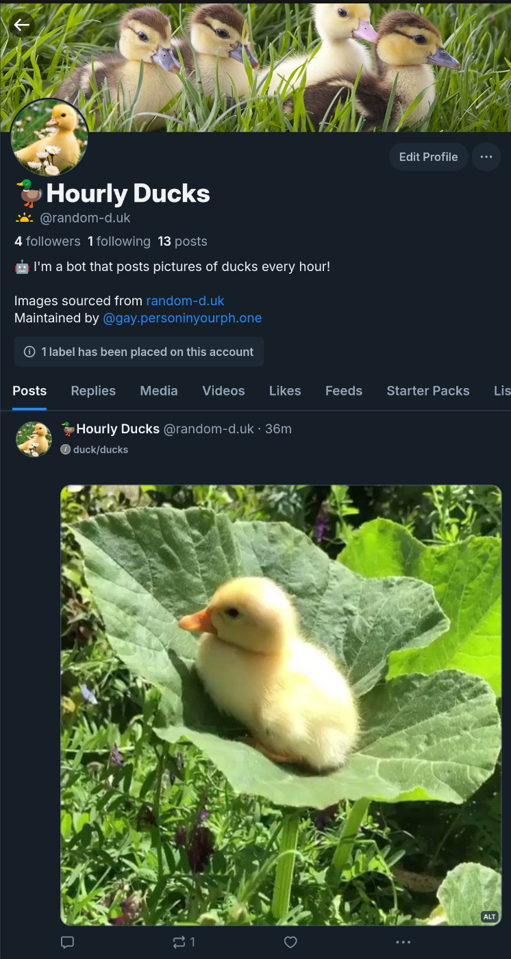 bluesky user
